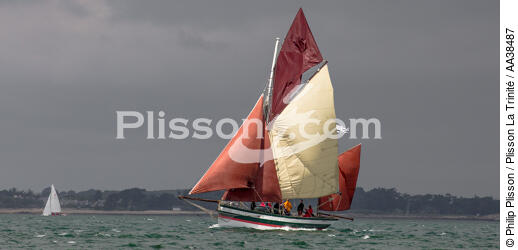 La semaine du Golfe 2015 - © Philip Plisson / Plisson La Trinité / AA38487 - Photo Galleries - Traditional sailing