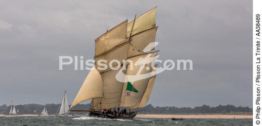 La semaine du Golfe 2015 - © Philip Plisson / Plisson La Trinité / AA38489 - Photo Galleries - Traditional sailing