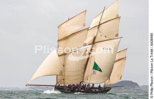 La semaine du Golfe 2015 - © Philip Plisson / Plisson La Trinité / AA38490 - Photo Galleries - Traditional sailing