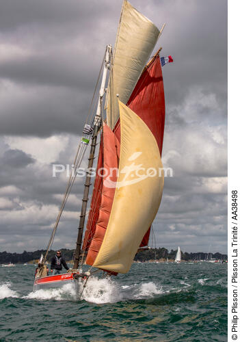 La semaine du Golfe 2015 - © Philip Plisson / Plisson La Trinité / AA38498 - Photo Galleries - Sailing boat