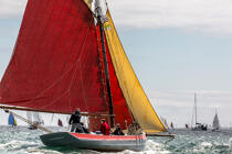 © Philip Plisson / Plisson La Trinité / AA38497 La semaine du Golfe 2015 - Photo Galleries - Sailing boat