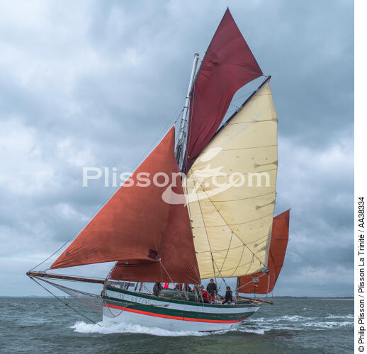 La semaine du Golfe 2015 - © Philip Plisson / Plisson La Trinité / AA38334 - Nos reportages photos - Morbihan [Golfe du]