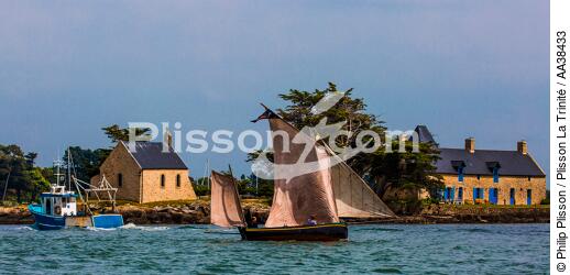 La semaine du Golfe 2015 - © Philip Plisson / Plisson La Trinité / AA38433 - Photo Galleries - Traditional sailing