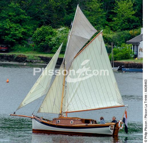 La semaine du Golfe 2015 - © Philip Plisson / Plisson La Trinité / AA38463 - Photo Galleries - Traditional sailing