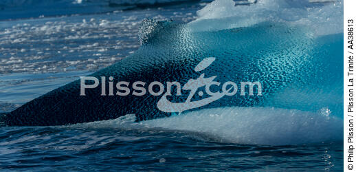 Sur la côte ouest du Groenland - © Philip Plisson / Plisson La Trinité / AA38613 - Nos reportages photos - 16/9 horizontal