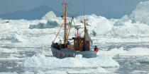 © Philip Plisson / Plisson La Trinité / AA38611 Sur la côte ouest du Groenland - Nos reportages photos - Arctique