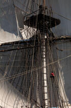 © Philip Plisson / Plisson La Trinité / AA38653 L'Hermione at sea - Photo Galleries - Tall ship / Sailing ship