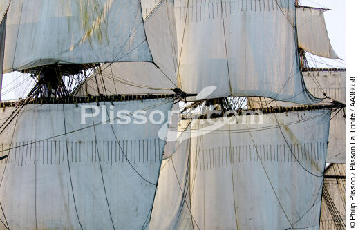 L'Hermione at sea - © Philip Plisson / Plisson La Trinité / AA38658 - Photo Galleries - Tall ship / Sailing ship