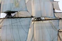 © Philip Plisson / Plisson La Trinité / AA38658 L'Hermione at sea - Photo Galleries - Tall ship / Sailing ship