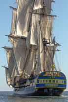 © Philip Plisson / Plisson La Trinité / AA38660 L'Hermione at sea - Photo Galleries - Tall ship / Sailing ship