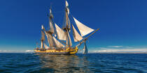 © Philip Plisson / Plisson La Trinité / AA38659 L'Hermione en navigation - Nos reportages photos - Grand voilier