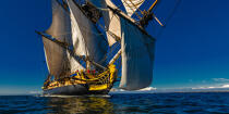 © Philip Plisson / Plisson La Trinité / AA38662 L'Hermione en navigation - Nos reportages photos - Grand voilier