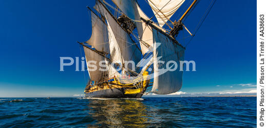 L'Hermione at sea - © Philip Plisson / Plisson La Trinité / AA38663 - Photo Galleries - Hermione