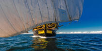 © Philip Plisson / Plisson La Trinité / AA38664 L'Hermione at sea - Photo Galleries - Tall ship / Sailing ship