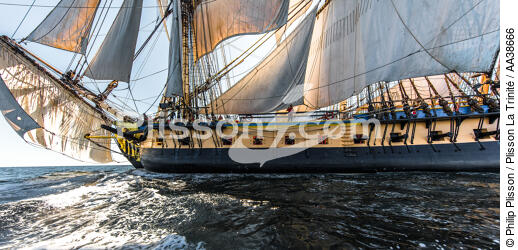 L'Hermione at sea - © Philip Plisson / Plisson La Trinité / AA38666 - Photo Galleries - Boat