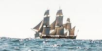 © Philip Plisson / Plisson La Trinité / AA38668 L'Hermione at sea - Photo Galleries - Traditional sailing