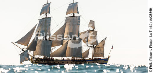 L'Hermione at sea - © Philip Plisson / Plisson La Trinité / AA38669 - Photo Galleries - Sailing boat