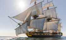 © Philip Plisson / Plisson La Trinité / AA38650 L'Hermione at sea - Photo Galleries - Tall ship / Sailing ship