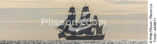 L'Hermione at sea - © Philip Plisson / Plisson La Trinité / AA38671 - Photo Galleries - Frigate