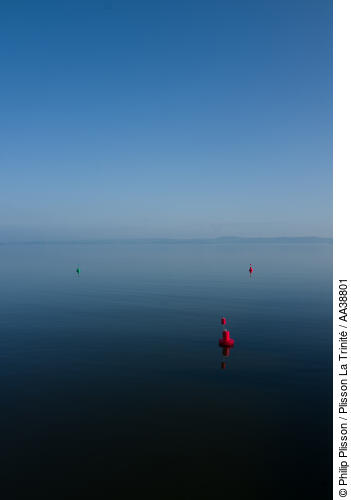 Newhaven Édimbourg port - © Philip Plisson / Plisson La Trinité / AA38801 - Photo Galleries - Buoys and beacons