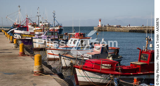 Kalk Bay Harbour - © Philip Plisson / Plisson La Trinité / AA38876 - Nos reportages photos - Pêche