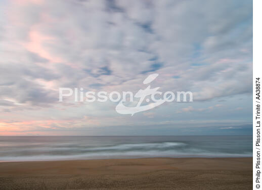Wilderness - © Philip Plisson / Plisson La Trinité / AA38874 - Photo Galleries - Beach