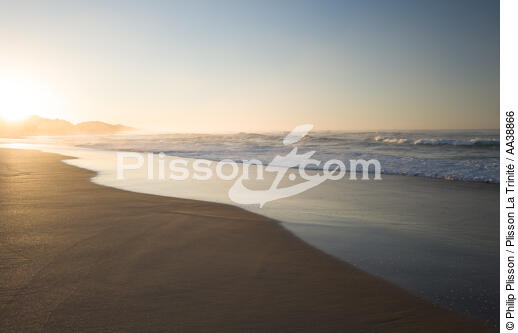 Wilderness - © Philip Plisson / Plisson La Trinité / AA38866 - Photo Galleries - Beach