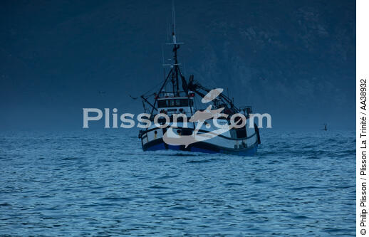 Hout bay harbor - © Philip Plisson / Plisson La Trinité / AA38932 - Photo Galleries - Maritime activity