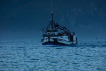 © Philip Plisson / Plisson La Trinité / AA38932 Hout bay harbor - Photo Galleries - Fishing vessel