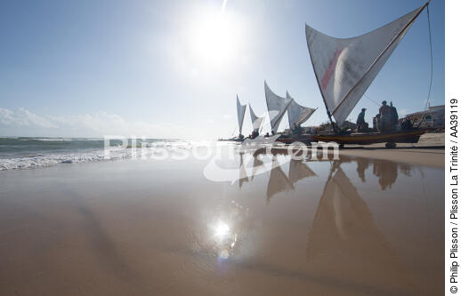 Jangaderos - © Philip Plisson / Plisson La Trinité / AA39119 - Nos reportages photos - Brésil