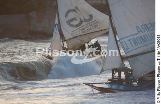 Jangaderos - © Philip Plisson / Plisson La Trinité / AA39085 - Nos reportages photos - Activité maritime