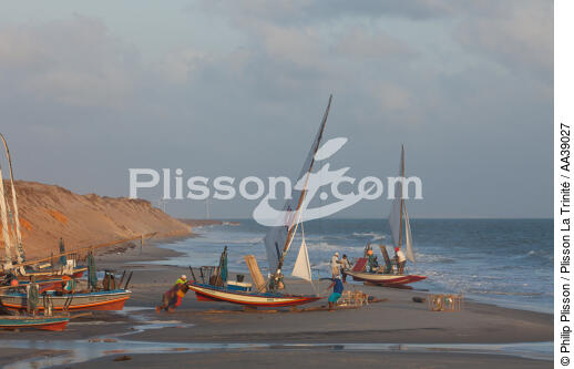 Jangaderos - © Philip Plisson / Plisson La Trinité / AA39027 - Photo Galleries - Fishing