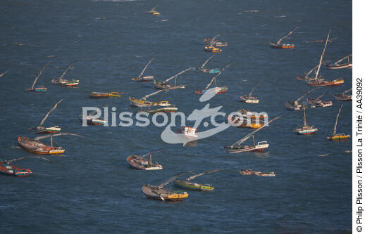 Redonda, Brasil - © Philip Plisson / Plisson La Trinité / AA39092 - Photo Galleries - Fishermen of the world