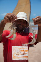 © Philip Plisson / Plisson La Trinité / AA39126 Jangaderos - Photo Galleries - Shellfish