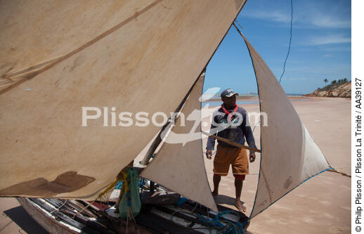 Jangaderos - © Philip Plisson / Plisson La Trinité / AA39127 - Photo Galleries - Brazil