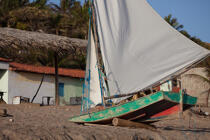 © Philip Plisson / Plisson La Trinité / AA39055 Redonda, Brasil - Photo Galleries - Fishing vessel