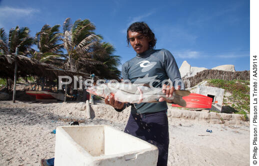 Jangaderos - © Philip Plisson / Plisson La Trinité / AA39114 - Photo Galleries - Fishermen of the world