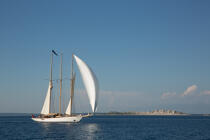 Croetia © Philip Plisson / Plisson La Trinité / AA39157 - Photo Galleries - Traditional sailing
