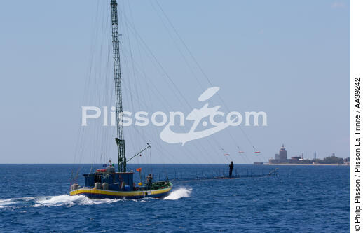 Pêche à L'espadon dans le détroit de Méssine - © Philip Plisson / Plisson La Trinité / AA39242 - Nos reportages photos - Activité maritime