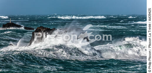 Finistère coast during Zeus storm in 2017 - © Philip Plisson / Plisson La Trinité / AA39425 - Photo Galleries - Storm at sea