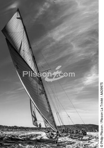 Tuiga, 15 mètres JI - © Philip Plisson / Plisson La Trinité / AA39975 - Nos reportages photos - Noir et blanc