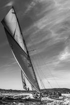 © Philip Plisson / Plisson La Trinité / AA39975 Tuiga, 15 meters JI - Photo Galleries - Sailing boat