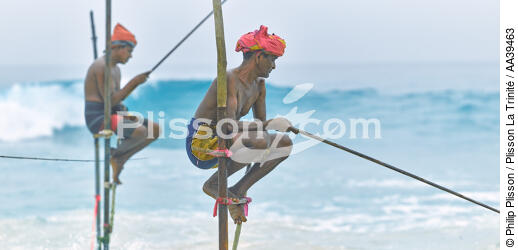 Pêcheurs sur échasse au Sri Lanka - © Philip Plisson / Plisson La Trinité / AA39463 - Nos reportages photos - Philip Plisson
