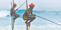 © Philip Plisson / Plisson La Trinité / AA39463 Fishermen on a stick in Sri Lanka - Photo Galleries - People