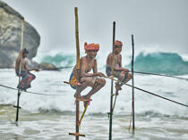 © Philip Plisson / Plisson La Trinité / AA39466 Fishermen on a stick in Sri Lanka - Photo Galleries - People