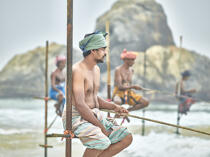 © Philip Plisson / Plisson La Trinité / AA39467 Fishermen on a stick in Sri Lanka - Photo Galleries - Maritime activity