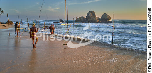Fishermen on a stick in Sri Lanka - © Philip Plisson / Plisson La Trinité / AA39495 - Photo Galleries - Job