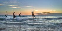 © Philip Plisson / Plisson La Trinité / AA39502 Fishermen on a stick in Sri Lanka - Photo Galleries - Job