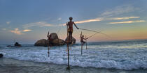 © Philip Plisson / Plisson La Trinité / AA39499 Fishermen on a stick in Sri Lanka - Photo Galleries - People