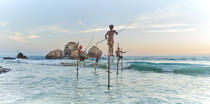 © Philip Plisson / Plisson La Trinité / AA39500 Fishermen on a stick in Sri Lanka - Photo Galleries - People